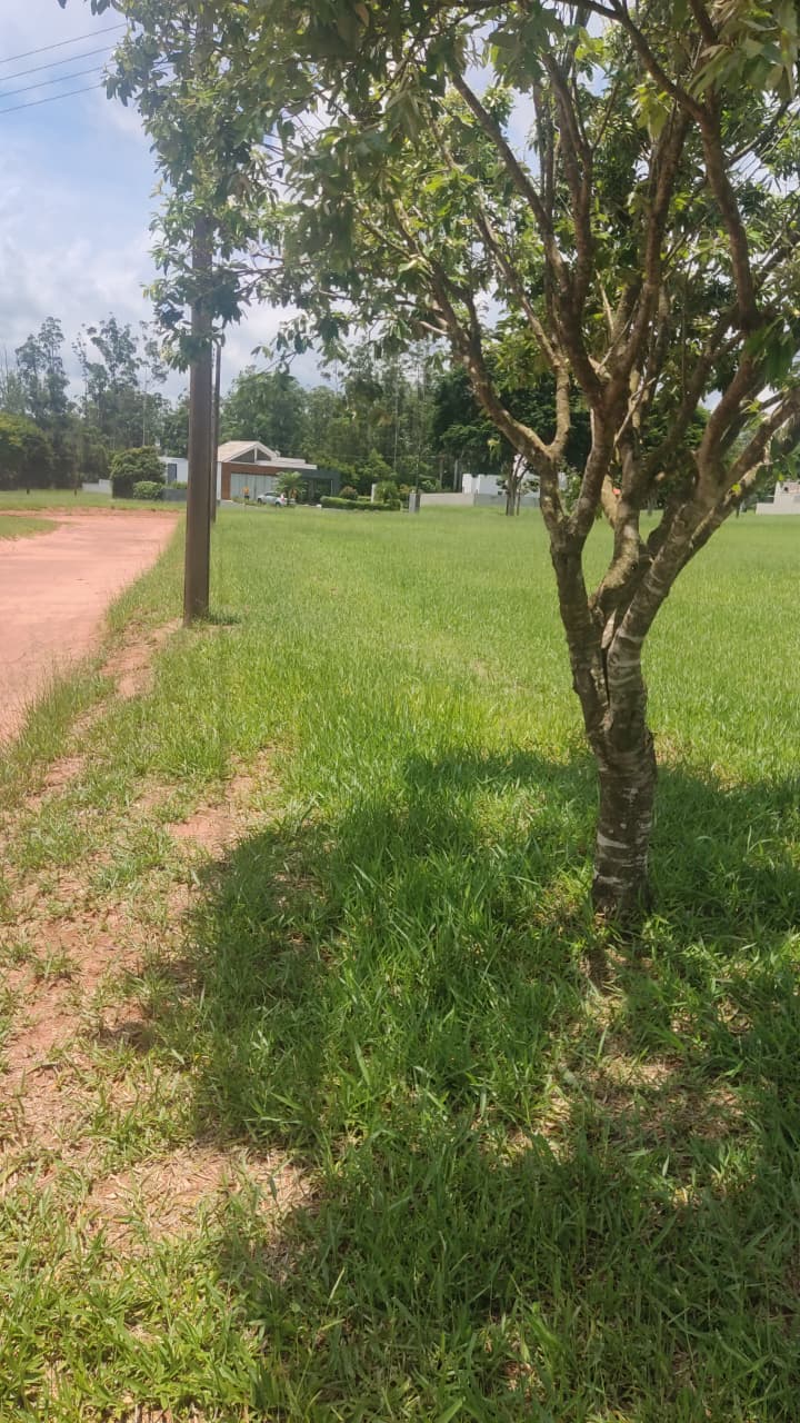 Terreno Santa Barbara MTOO1T (1)