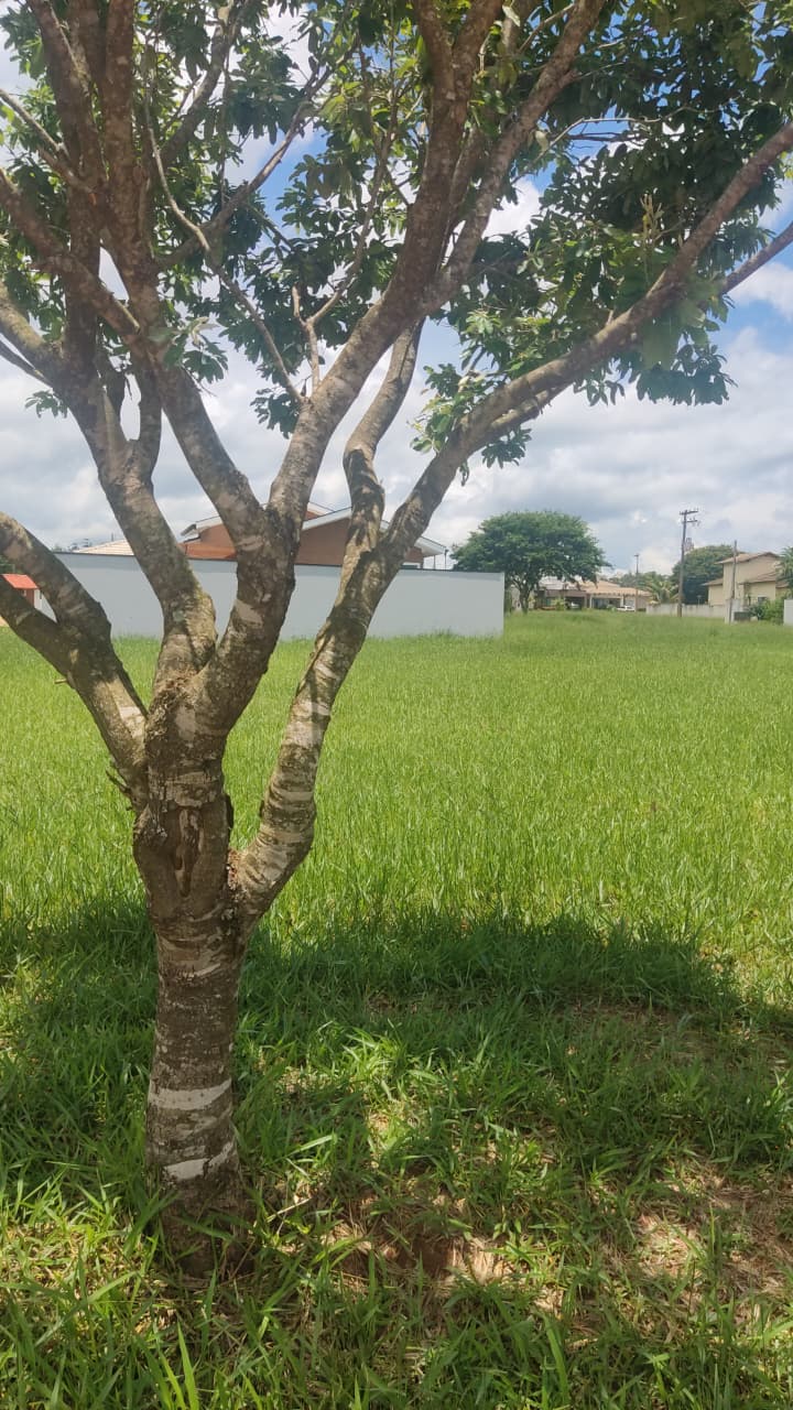 Terreno Santa Barbara MTOO1T (3)