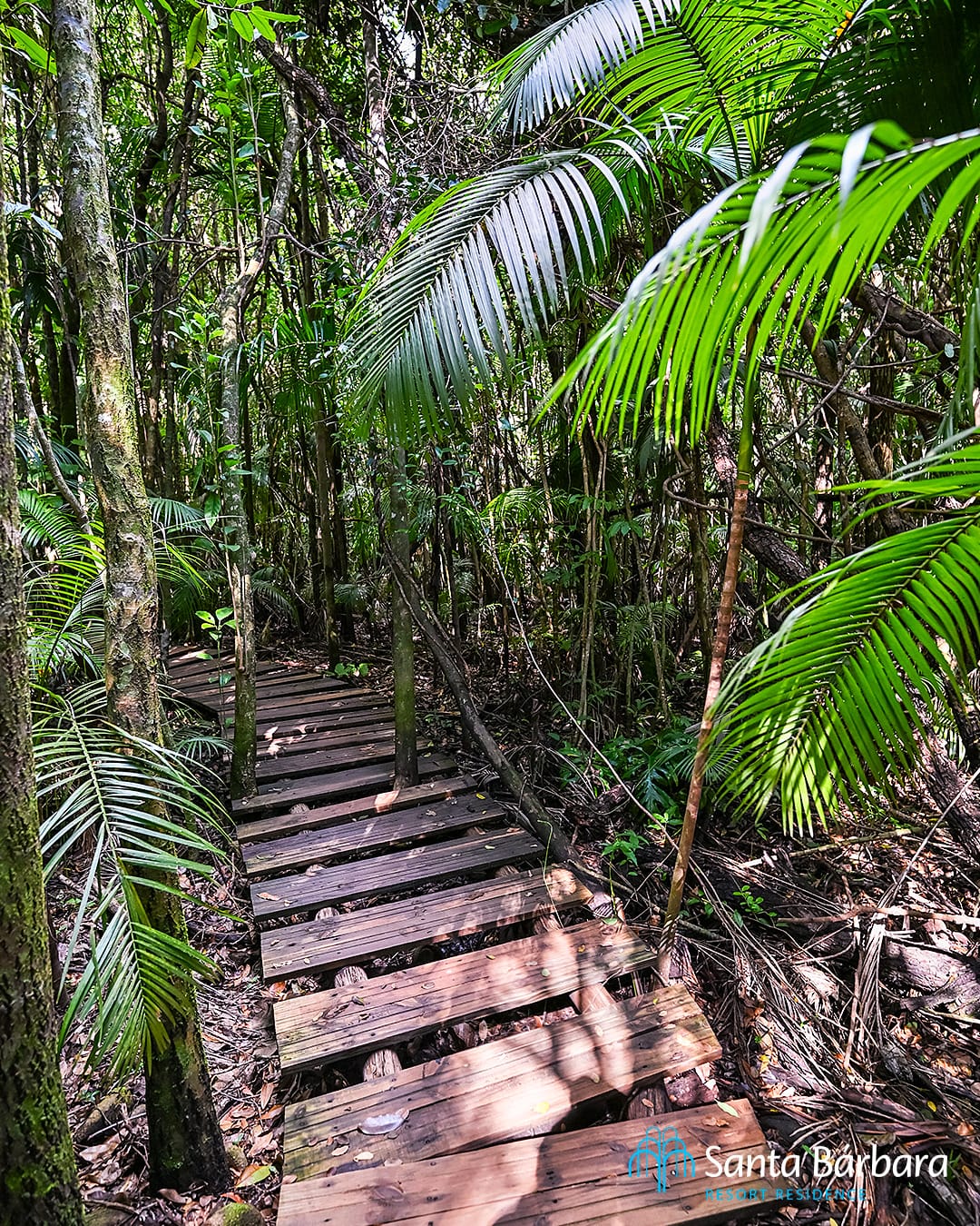 Santa-Barbara-Resort-Residence (5)